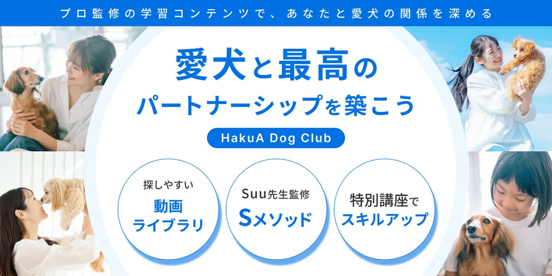 愛犬と最高のパートナーシップを築こう